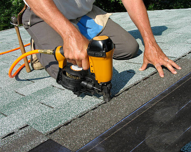 Best Roof Gutter Cleaning  in Pinewood, FL