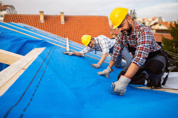 Quick and Trustworthy Emergency Roof Repair Services in Pinewood, FL