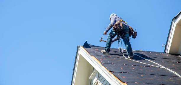 Professional Roofing Contractor in Pinewood, FL